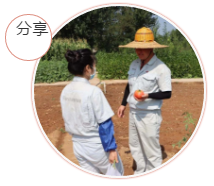 采摘幸福果實(shí)，分享收獲喜悅